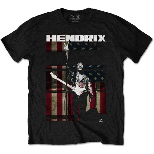 Jimi hendrix experience - jimi,